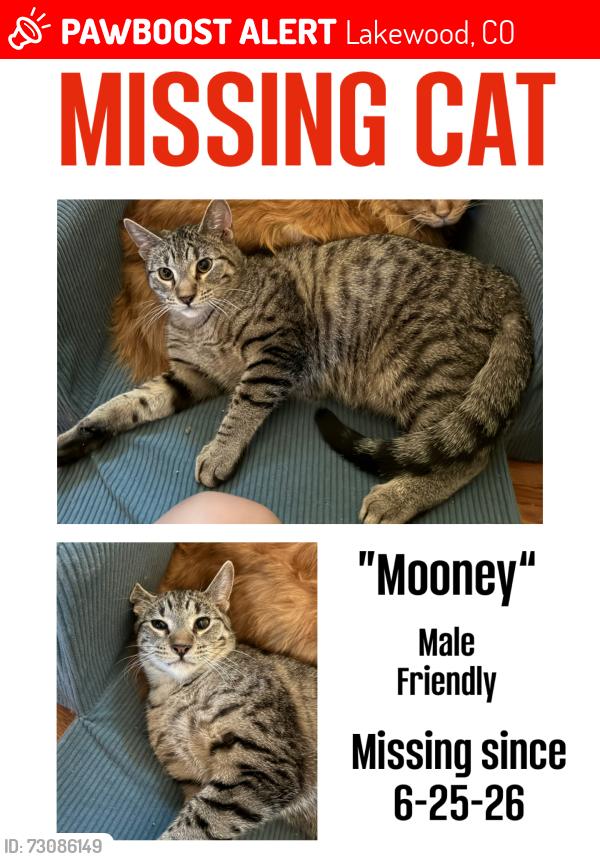 Lost Male Cat last seen Florida and Eaton Ct, Lakewood, CO 80232