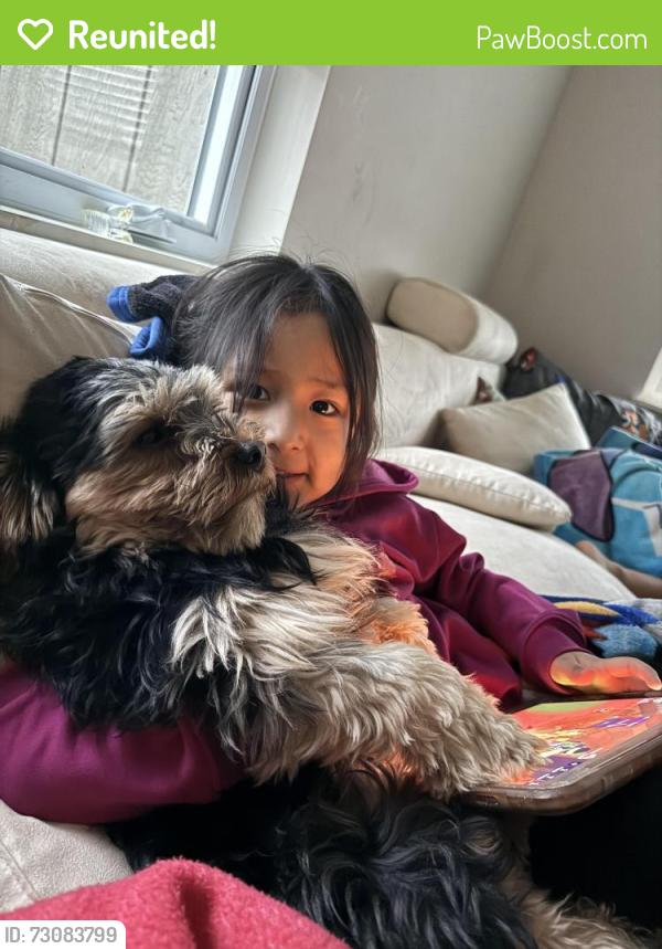 Reunited Male Dog last seen Barbara Street, Lake in the Hills, Lake in the Hills, IL 60156