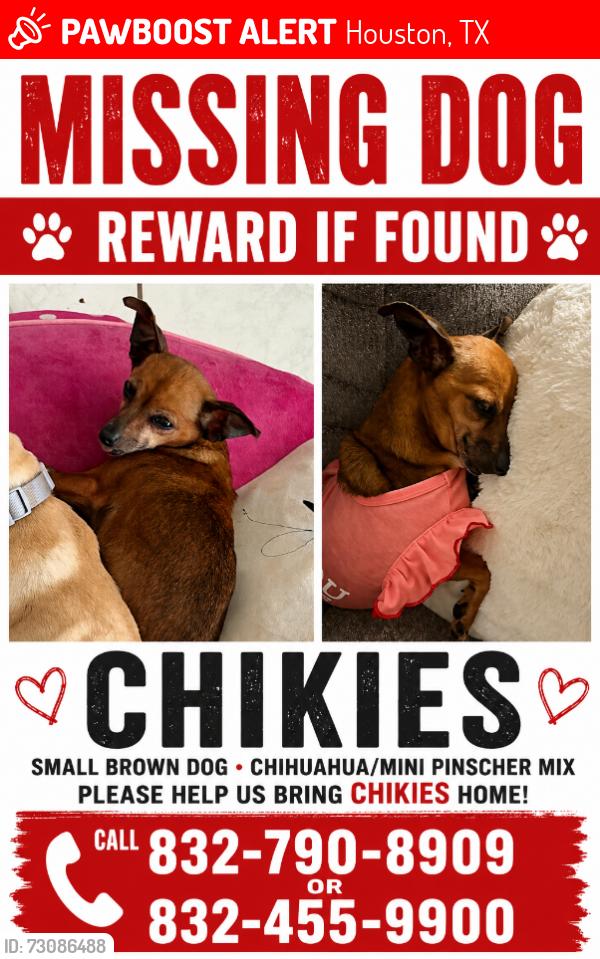 Lost Female Dog last seen Near bubbling spring lane, Houston, TX 77086