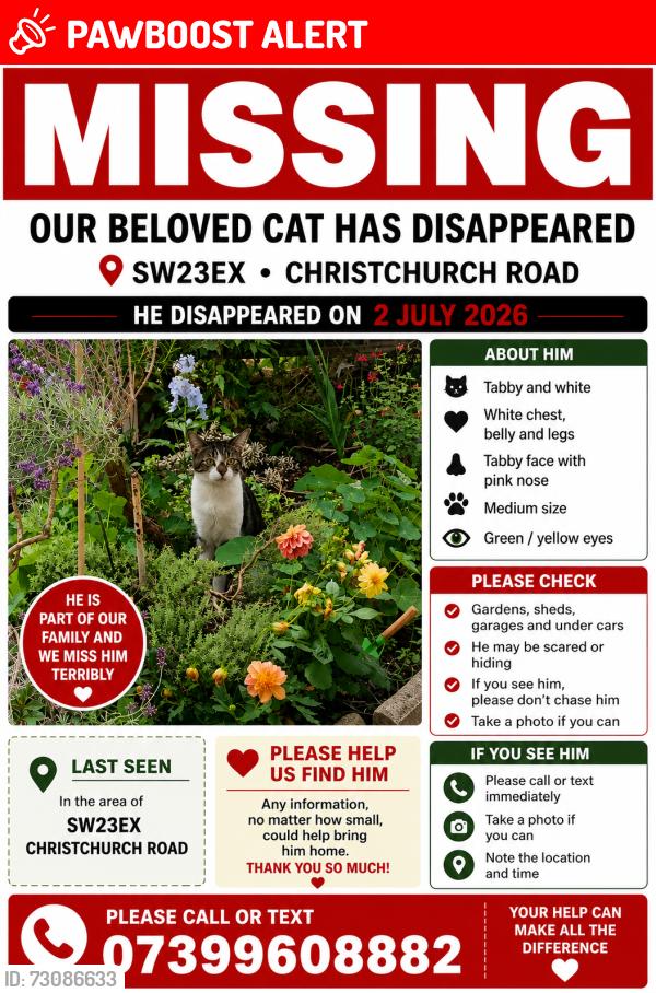 Lost Male Cat last seen Christchurch road sw23ex , Greater London, England 