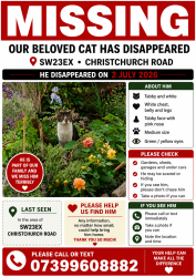 Lost Male Cat last seen Christchurch road sw23ex , Greater London, England 