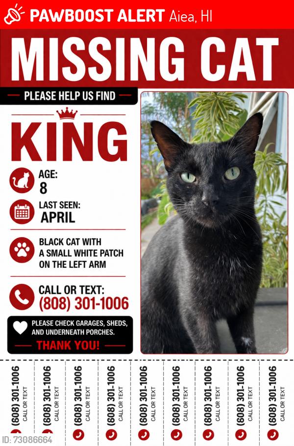 Lost Male Cat last seen Halawa district park, Aiea, HI 96701