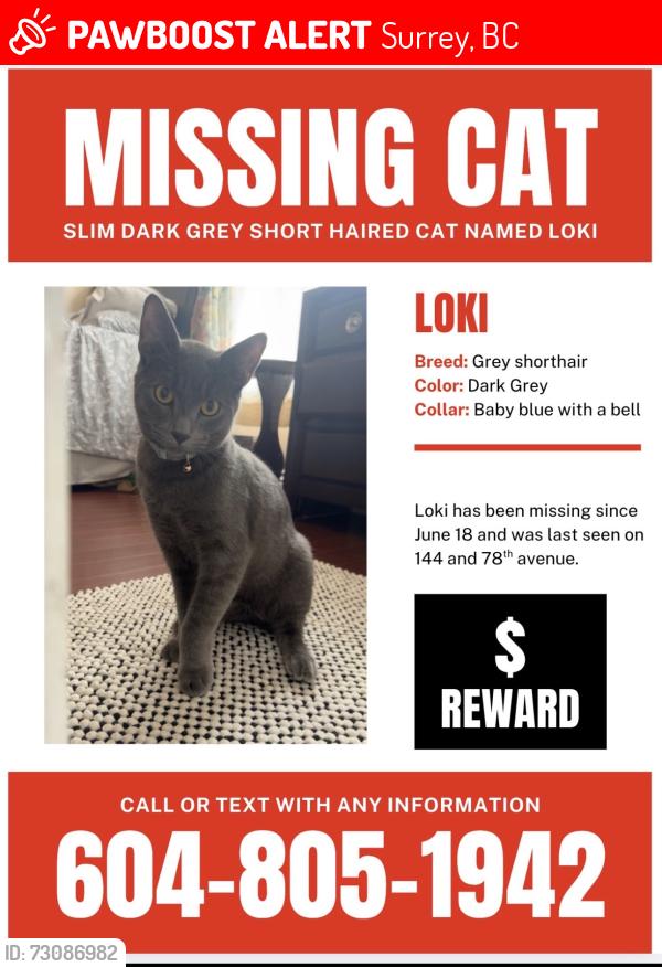 Lost Male Cat last seen 144A street 77ave, Surrey, BC 