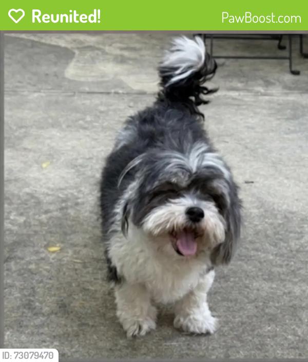 Reunited Male Dog last seen 56th Street and 32nd Avenue, Queens, NY 11377