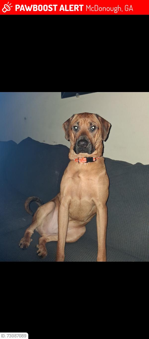 Lost Male Dog last seen Huntington ridge subdivision, McDonough, GA 30253