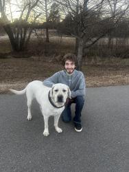 Lost Male Dog last seen Kelly park, Edmond, OK 73003