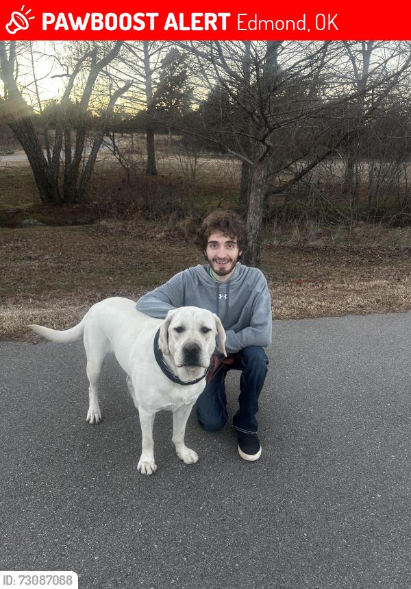 Lost Male Dog last seen Kelly park, Edmond, OK 73003