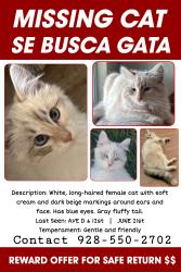 Lost Female Cat last seen Ave D and 12st, Yuma County, AZ 85365