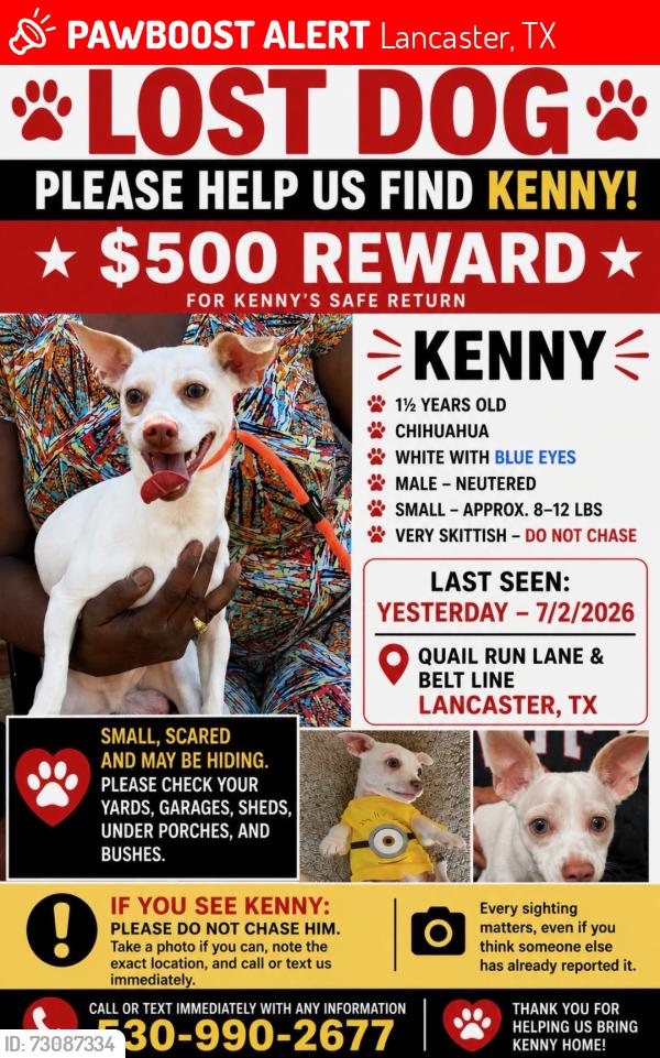 Lost Male Dog last seen Quail Run Lane and Beltline, Lancaster, TX 75146