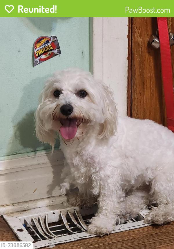 Reunited Male Dog last seen Cicero, Chicago, IL 60638