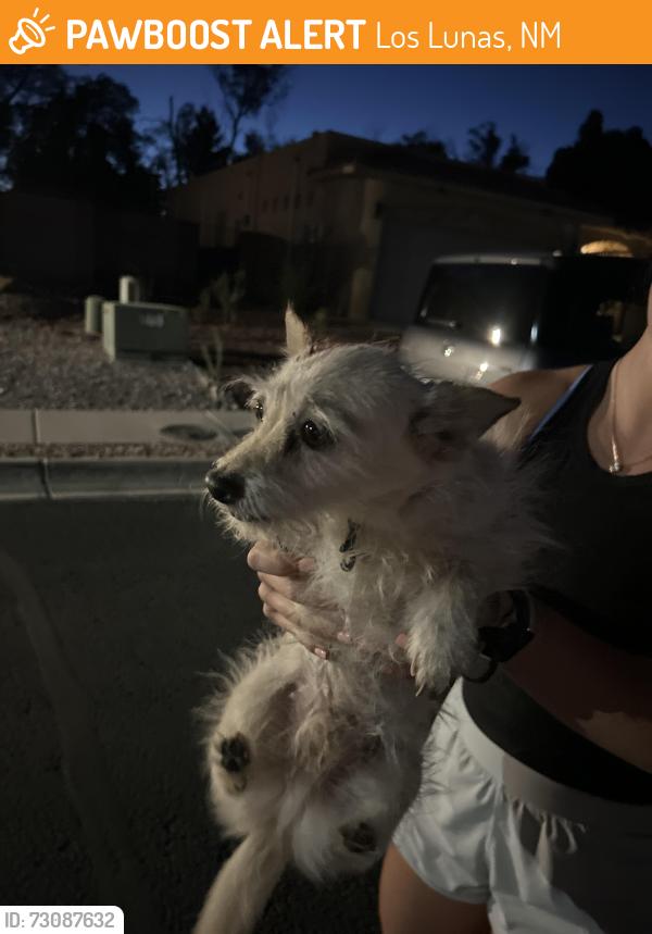 Found/Stray Male Dog last seen San Clemente Church, Los Lunas, NM 87031