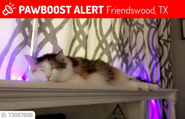 Lost Female Cat last seen bayou oak dr, lost river dr, Friendswood, TX 77546