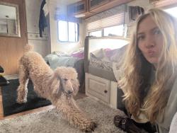 Lost Male Dog last seen Main Street, Salinas, CA 93906