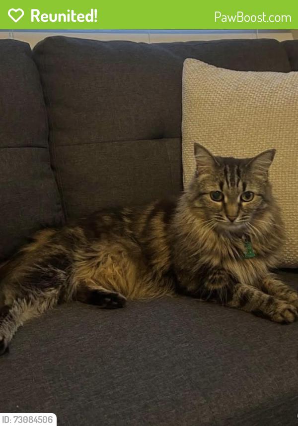 Reunited Unknown Cat last seen Near Roome Rd, Towaco, NJ 07082, USA, Montville, NJ 07082