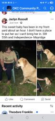 Found/Stray Female Dog last seen SW 55TH, Oklahoma City, OK 73119