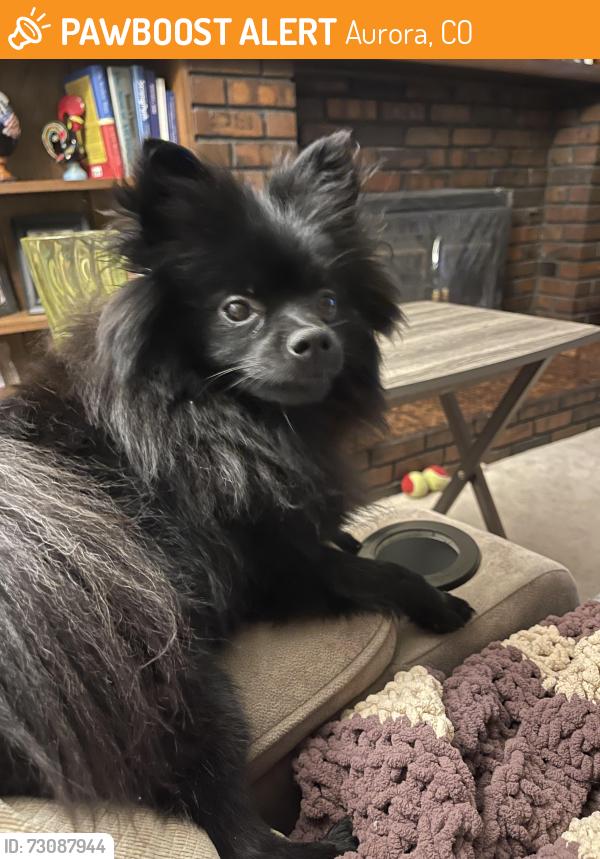 Found/Stray Male Dog last seen Lynn knolls, Aurora, CO 80011