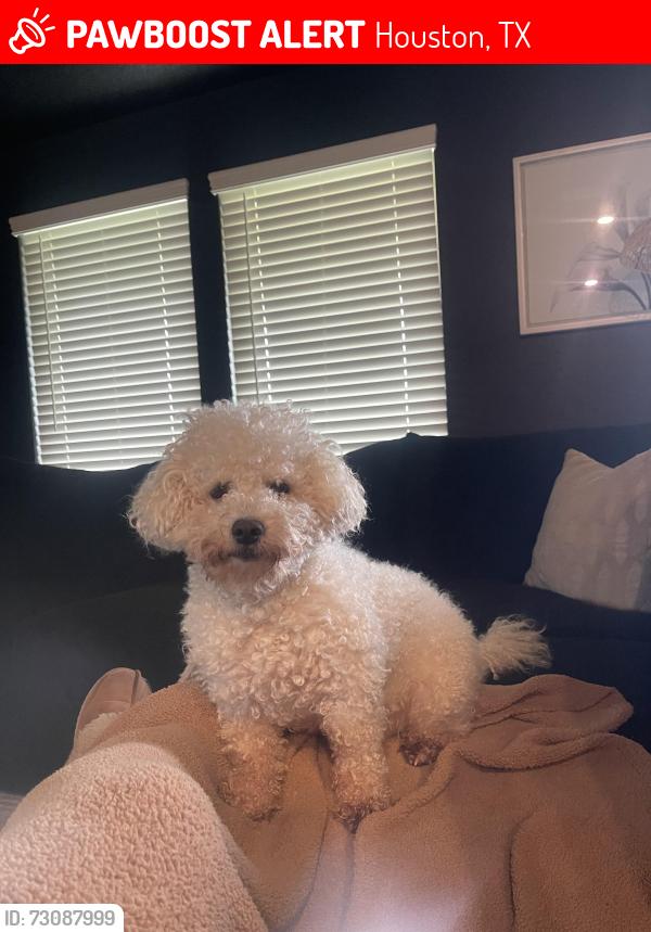 Lost Male Dog last seen Oakfield Glen ln, Houston, TX 77433