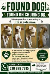 Found/Stray Female Dog last seen Churing and Prescott, San Antonio, TX 78245