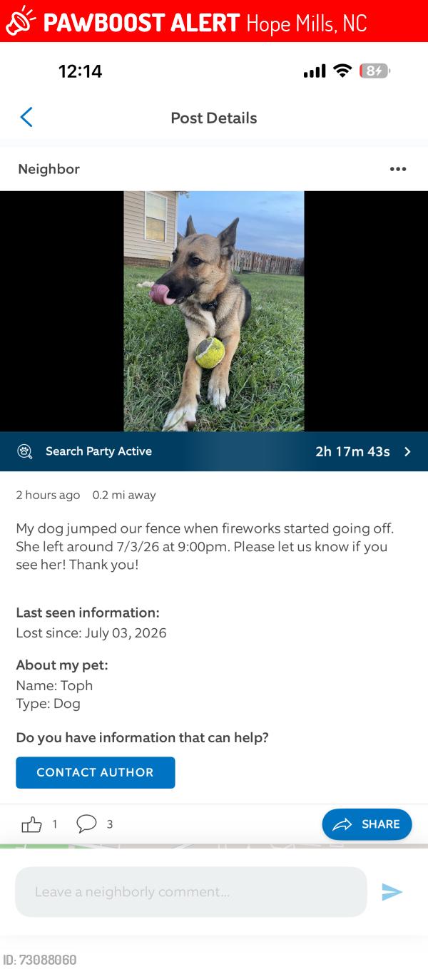Lost Female Dog last seen Village Green, Hope Mills, NC 28348