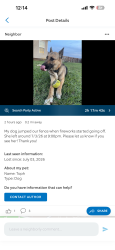 Lost Female Dog last seen Village Green, Hope Mills, NC 28348