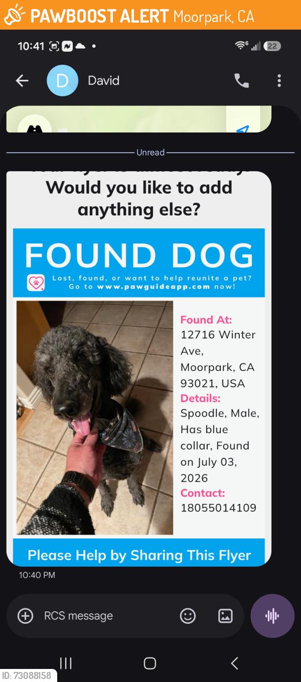 Found/Stray Male Dog last seen Moorpark, Moorpark, CA 93021