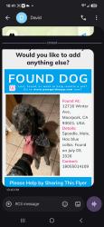 Found/Stray Male Dog last seen Moorpark, Moorpark, CA 93021