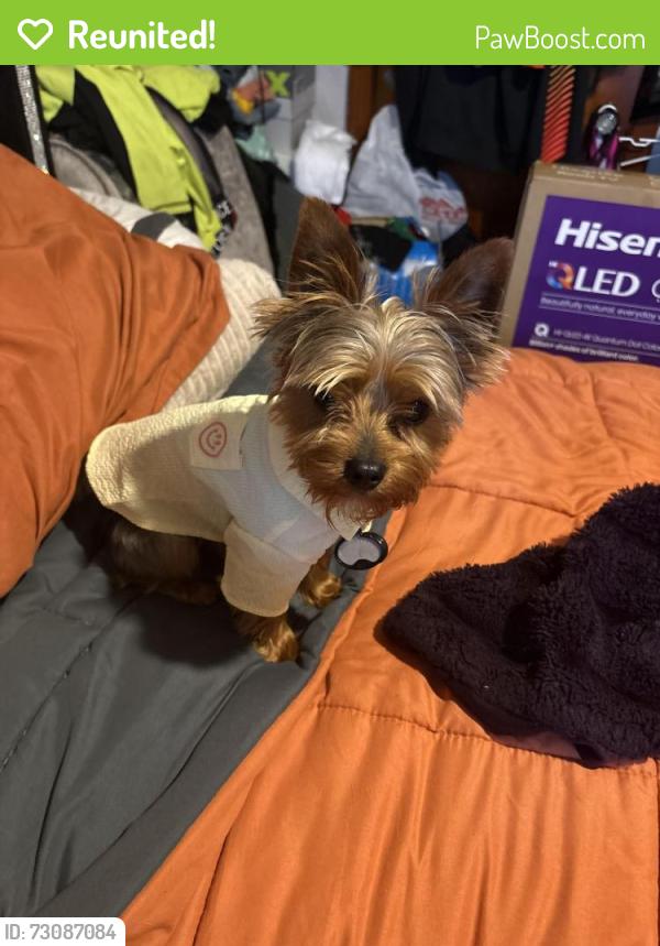 Reunited Male Dog last seen Anacostia library , Washington, DC 20020