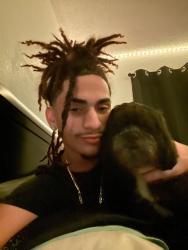 Lost Male Dog last seen Near Hartley rd, Tampa, FL 33619