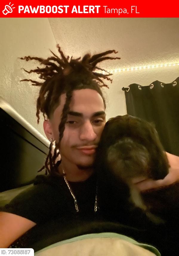Lost Male Dog last seen Near Hartley rd, Tampa, FL 33619