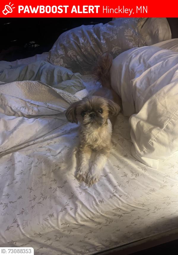 Lost Female Dog last seen Dunn Avenue, Root street, 3rd Ave. right by the snowmobile trail, and Grindstone River area, Hinckley, MN 55037