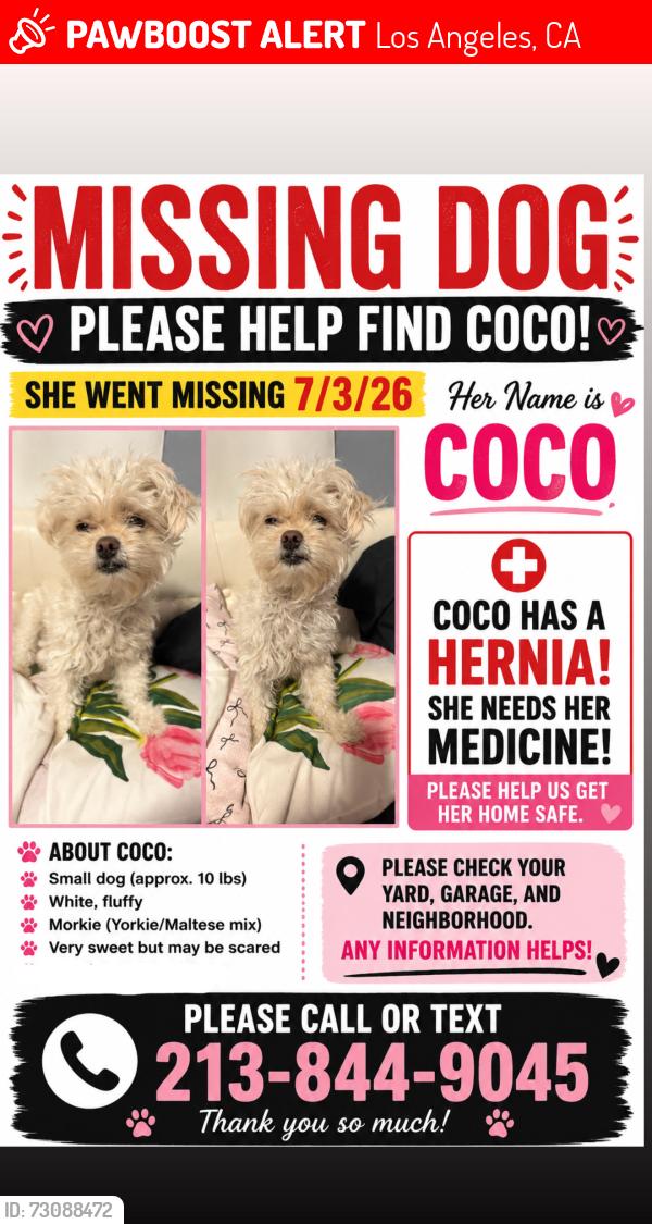 Lost Female Dog last seen Firestone blvd, Los Angeles, CA 90002