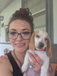 Lost Female Dog last seen Near Eastview, Bolivar Peninsula, TX 77650, Bolivar Peninsula, TX 77650
