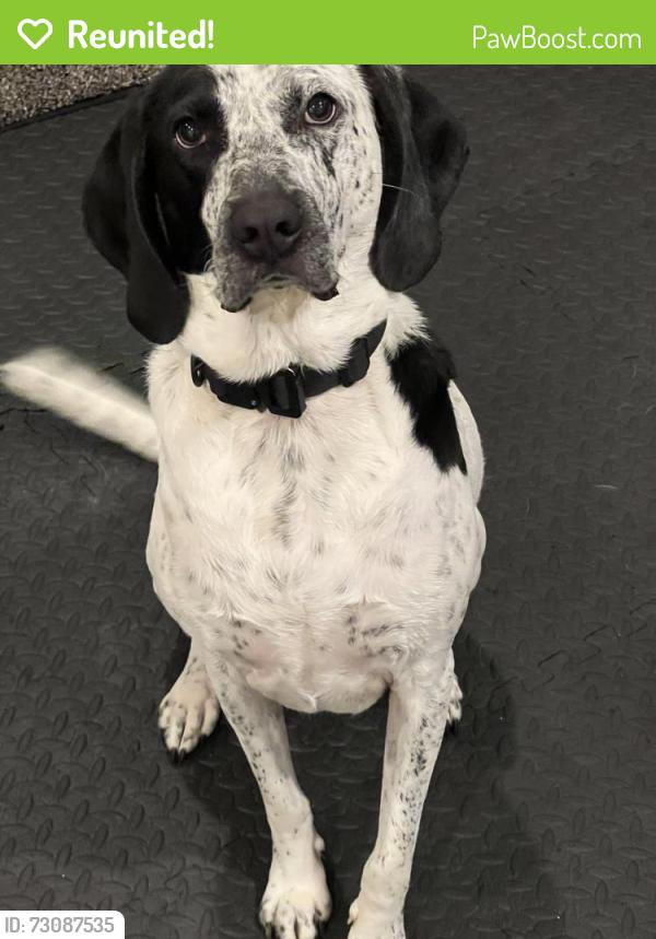 Reunited Male Dog last seen High meadow park, Middletown Township, PA 19063