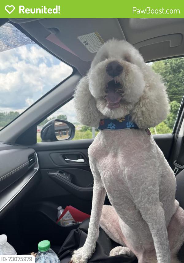 Reunited Male Dog last seen Don Carter State Park , Gainesville, GA 30506