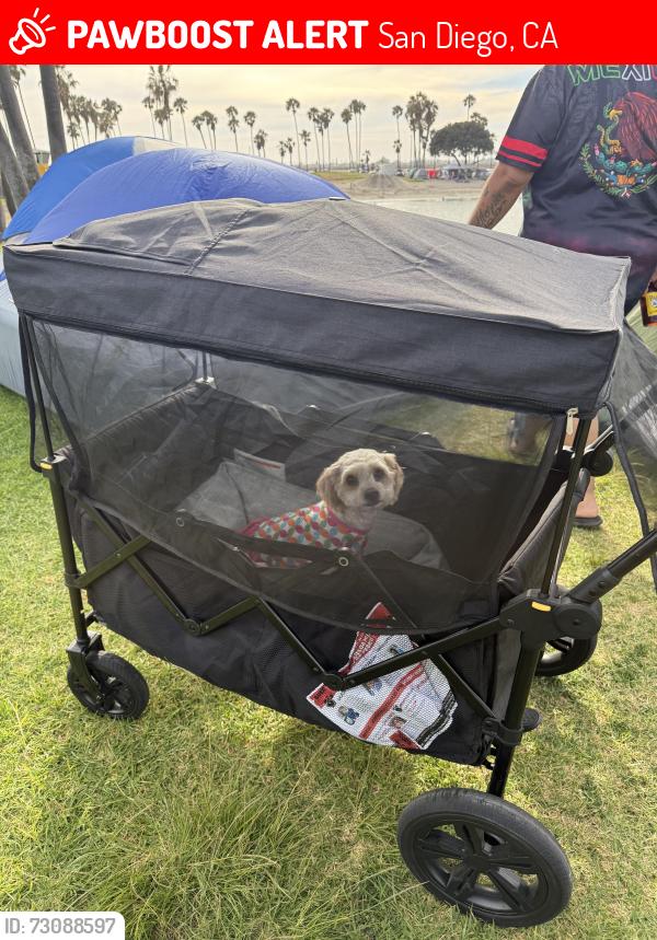 Lost Female Dog last seen De anza cove, San Diego, CA 92109