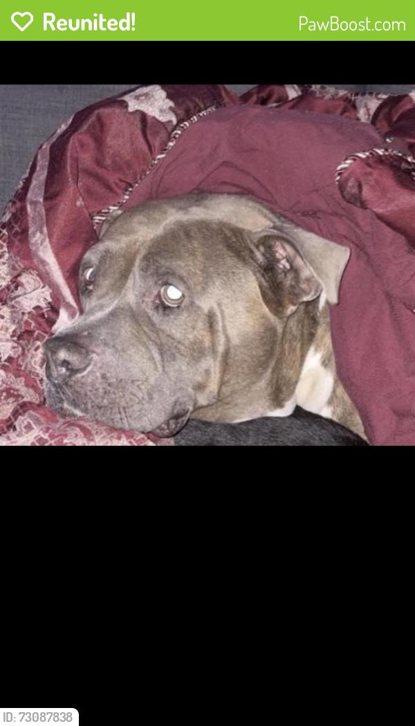 Reunited Male Dog last seen Marion liquor , Ocala, FL 34471