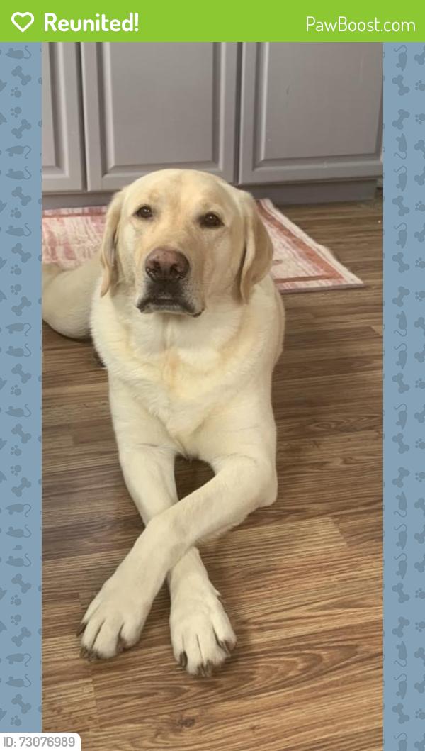 Reunited Male Dog last seen Corner of Overbrook Street and Tulane, Port Charlotte, FL 33954