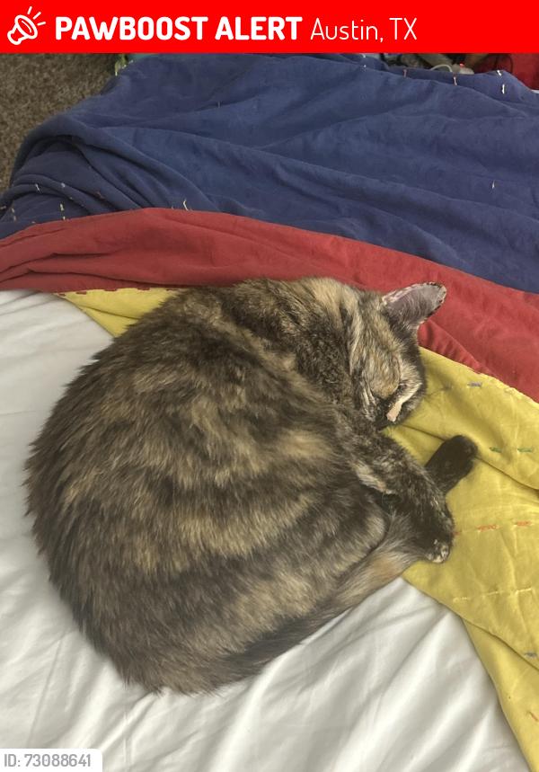 Lost Female Cat last seen Near metric boulevard apmt 1316 78758 Contact, Austin, TX 78758