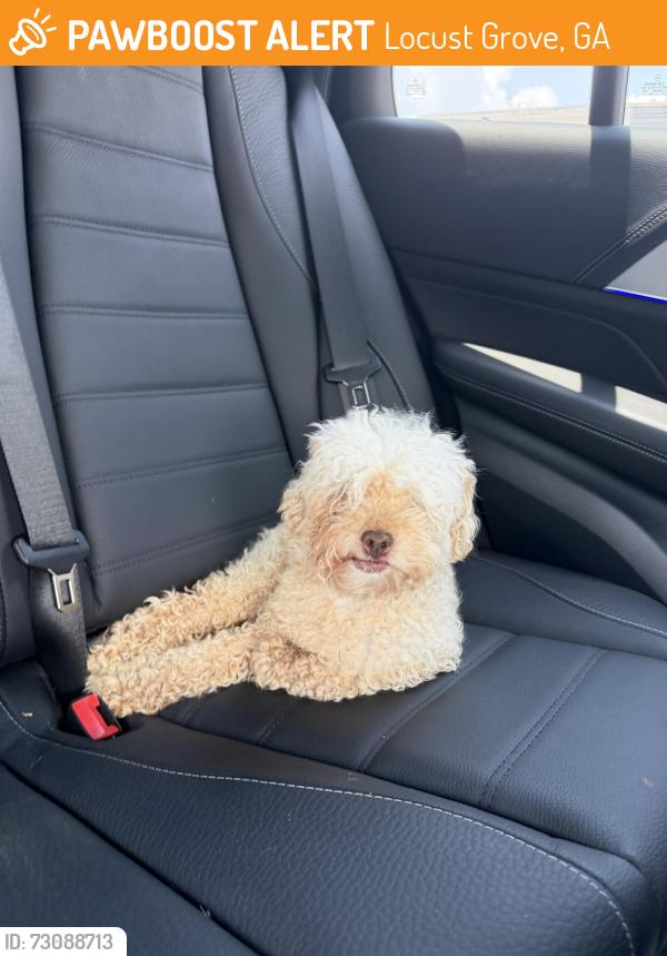 Found/Stray Unknown Dog last seen Near Peeksville Rd, Locust Grove, GA 30248