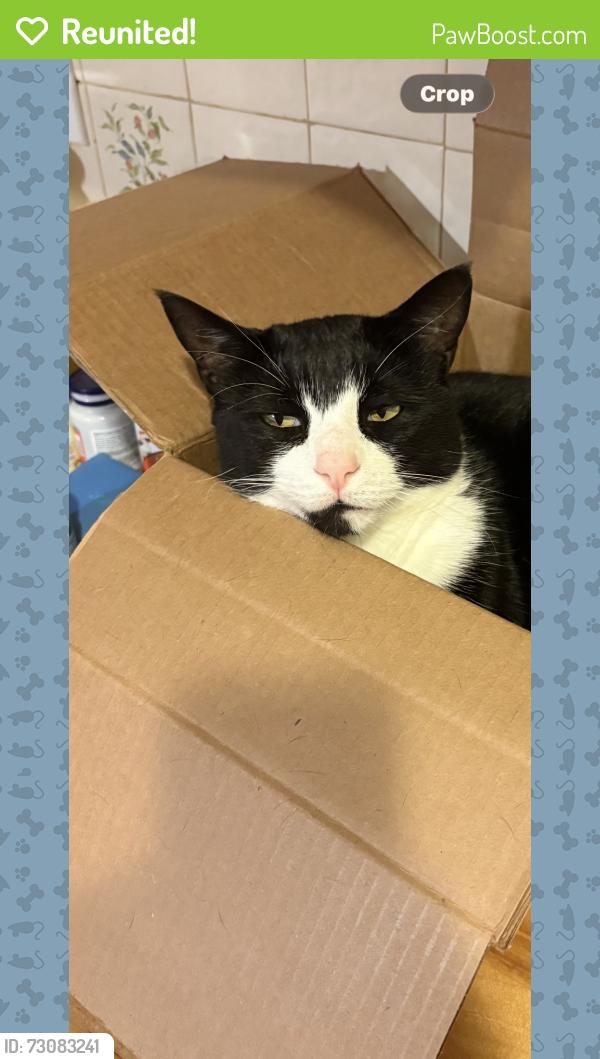 Reunited Male Cat last seen Arcola Road , Collegeville, PA 19426