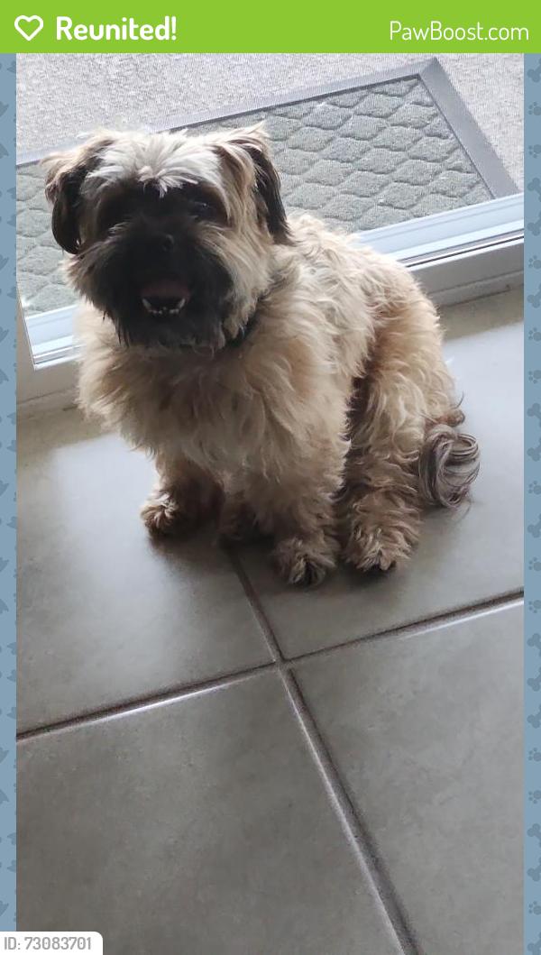 Reunited Male Dog last seen Big Bend Ave and Victoria Park, Orange City, FL 32763