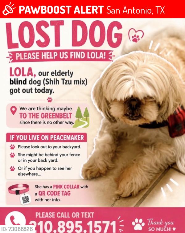 Lost Female Dog last seen Evans, San Antonio, TX 78258