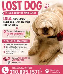 Lost Female Dog last seen Evans, San Antonio, TX 78258