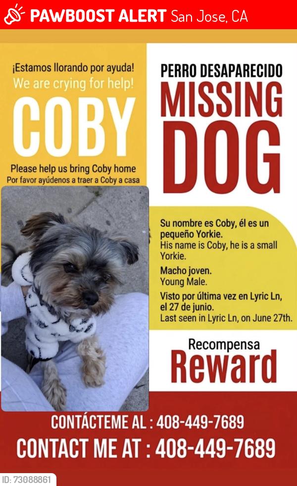 Lost Male Dog last seen Lyric ln, San Jose, CA 95111