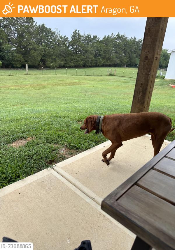 Found/Stray Female Dog last seen Near Flint Hill Rd Aragon GA, Aragon, GA 30104