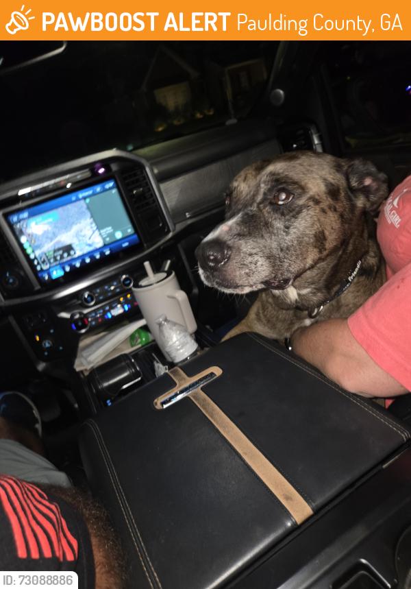 Found/Stray Male Dog last seen New roundabout, Paulding County, GA 30134