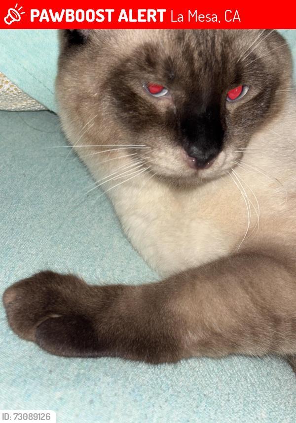 Lost Male Cat last seen Amaya Dr, La Mesa, CA 91942