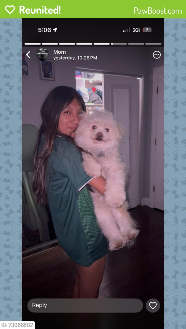 Reunited Male Dog last seen Near lower ferry rd, Ewing Township, NJ 08618