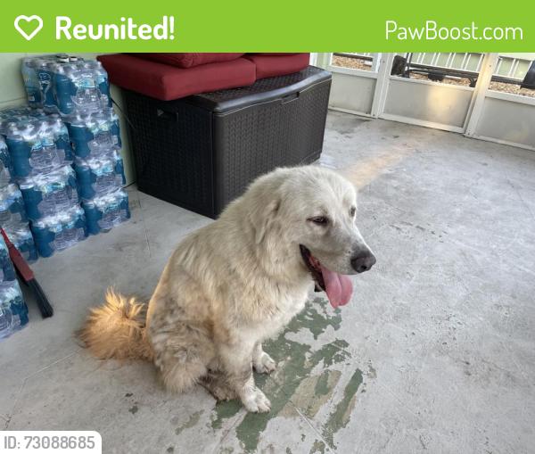 Reunited Female Dog last seen Salerno Road, Stuart, FL 34997