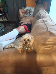 Lost Male Dog last seen Ranger road, Newport, RI 02840
